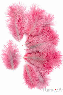 Struzzo Bellies - 8-13 cm - rosa vecchia